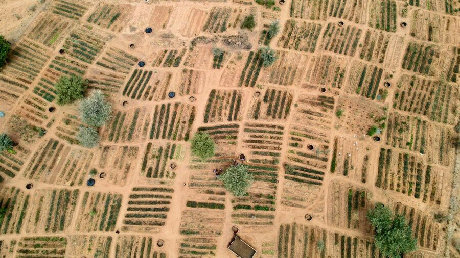 An aerial view of WFP-supported community gardens in Niger's Tillaberi region, which are part of a broader, multi-partner Sahel resilience initiative. Photo: WFP/Souleymane Ag Anara&nbsp;